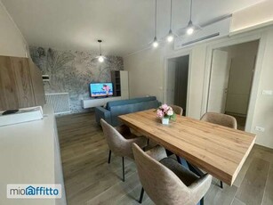 Appartamento arredato con terrazzo Porto allegro