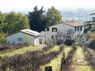 Azienda Agricola con Fabbricato e Terreno in Vendita a Campagnatico, Toscana