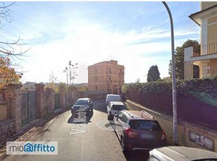 Bilocale arredato con terrazzo Nuovo salario, prati fiscali, monte sacro, talenti, vigne nuove, serpentara