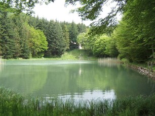 Proprietà con Lago Privato in Vendita a Fivizzano