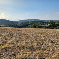 TERRENO AGRICOLO