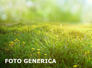 Terreno agricolo in vendita a San Miniato Basso - San Miniato