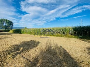 Terreno agricolo in vendita a Titignano - Cascina