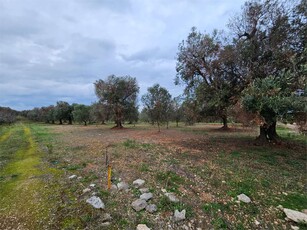 Terreno Edificabile a San Vito dei Normanni