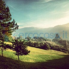 Terreno edificabile in vendita a Terenzo