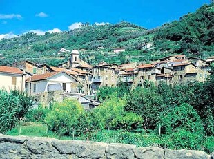 Vendita Terreno agricolo, in zona VALLECROSIA ALTA, VALLECROSIA