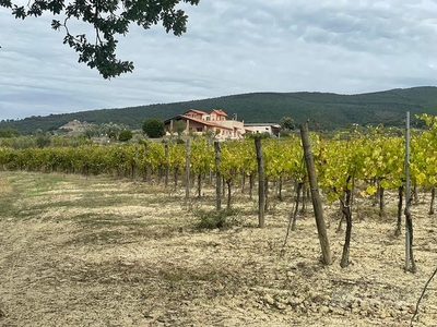 Azienda vitivinicola di 36,5 Ha con casa padronale