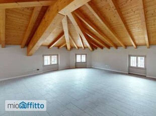 Appartamento con terrazzo Solarolo