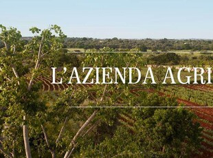 Azienda Agricola in Vendita a Capalbio con 9 Ettari di Terreno