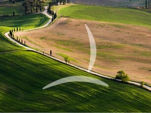 Azienda agricola in vendita a Peccioli