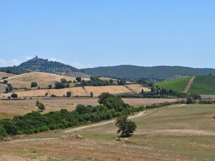 Casale in Vendita a Capalbio con Terreno e Progetto di Ampliamento