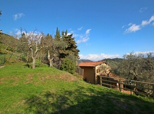 La Maggiolina & La Bastide