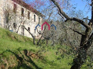 Rustico casale abitabile in zona Valdottavo a Borgo a Mozzano