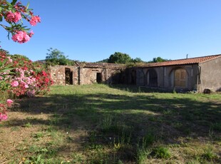 Rustico casale da ristrutturare a Campiglia Marittima