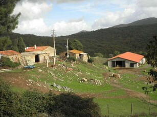 Rustico casale in Località Pantano a Riparbella