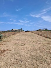 Terreno agricolo in Vendita a Misiliscemi