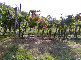 terreno agricolo in vendita a Ome