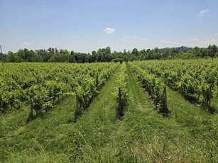 Terreno Agricolo in vendita a Polpenazze del Garda