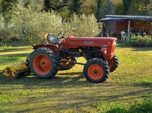 Terreno agricolo in Vendita a Ponsacco Ponsacco