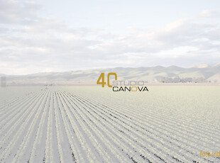 terreno agricolo in vendita a Torreano