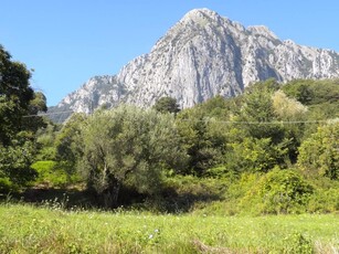 Terreno edificabile in Contrada Gelso, San Giovanni a Piro (SA)