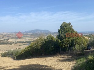 Terreno non edificabile in vendita a Recanati, Via Contrada Addolorata,, 79 - Recanati, MC