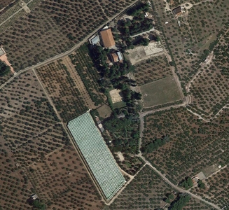 terreno agricolo in vendita a Ruvo di Puglia