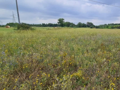 Terreno Agricolo in vendita, Castelfranco di Sotto orentano