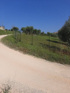 Terreno in vendita, Ripatransone val tesino