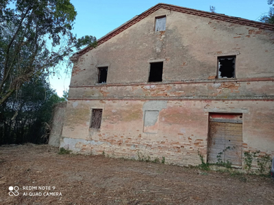 rustico / casale in vendita a Offagna