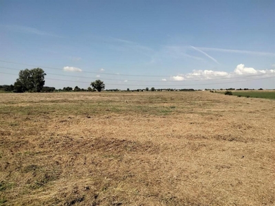 terreno agricolo in vendita a Ravenna