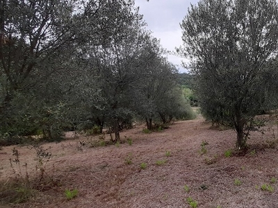 terreno residenziale in vendita a Manziana