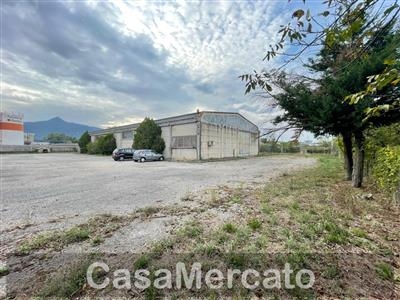 Capannone / Fondo - Industriale/Artigianale a Frosinone