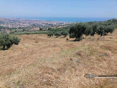 terreno agricolo in vendita a Tortoreto