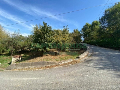 terreno residenziale in vendita a Aiello del Sabato