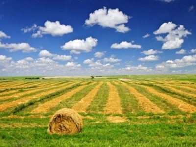 terreno agricolo in vendita a Misano Adriatico