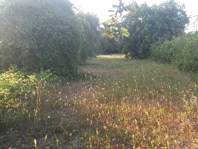 Terreno agricolo di 1280 mq a Spinetoli