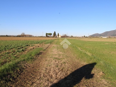 Terreno agricolo in vendita a Pontedera