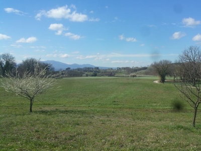 terreno agricolo in vendita a Lugnano in Teverina