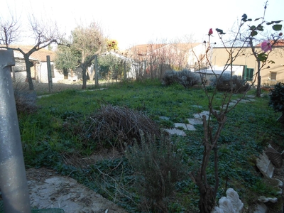 Casa indipendente con giardino, Ancona posatora
