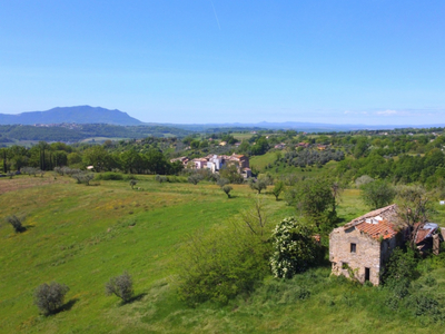 Vendita Rustico Tarano - Tarano