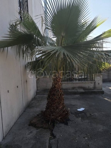 Capannone Industriale in affitto a Fiano Romano via del Lavoro