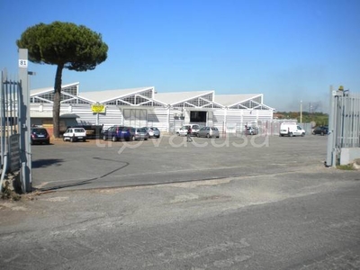 Capannone Industriale in affitto a Roma