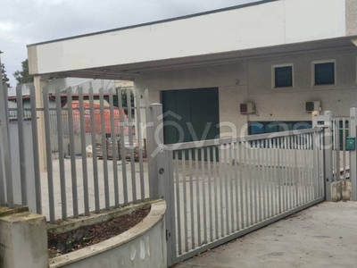 Capannone Industriale in affitto a San Cesareo via Maurizio Iaconelli, 32