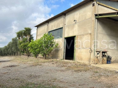 Capannone Industriale in affitto ad Anguillara Sabazia via Fontana Murata, 8