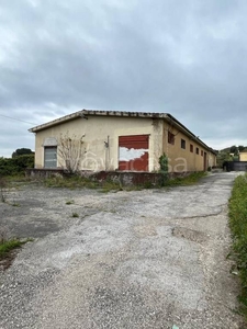 Capannone Industriale in in affitto da privato a Fiano Romano via Prato della Corte, 26