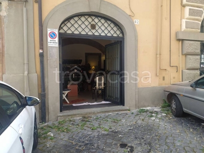 Hobby/Tempo Libero in affitto a Genzano di Roma via Franco Guidobaldi, 42