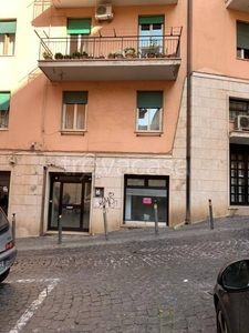 Negozio in affitto a Frascati via Seghetti