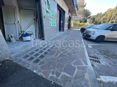 Negozio in affitto a Roma via di Tor Vergata