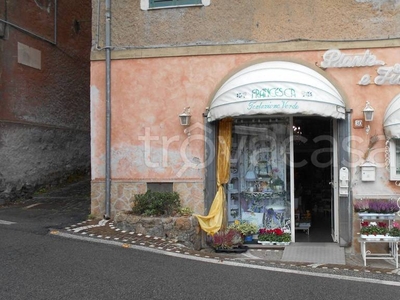 Piante e Fiori in affitto a Monte Compatri via Cesare Battisti, 30